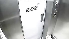 Flagra de sexo no elevador do condomínio