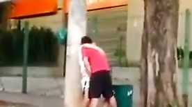 Homem Pega no Flagra Casal Dando Uma Trepada no Meio da Rua Frei Caneca em São Paulo