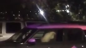 Flagra Sexo No Carro Peituda Louca De Prazer Transa No Estacionamento E Chama Olhares Com Barulhos de Buzina