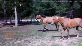 Morena putinha desfilando peladinha com seu cavalo