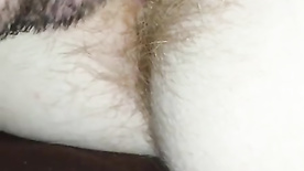 Licking Hairy Pussy