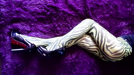 My ass and legs in nylon zebra pantyhose and heels