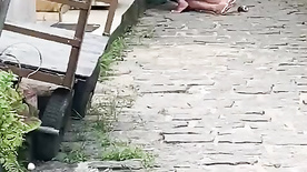 Flagra cachorra fazendo boquete na rua a luz do dia
