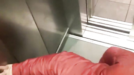 Malandro colocou as três amigas para mamar no elevador