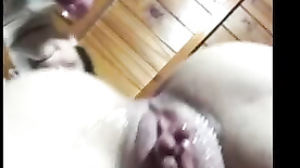 Vídeo caseiro da putinha do cu guloso transando sem pudor
